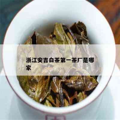 浙江安吉白茶之一茶厂是哪家