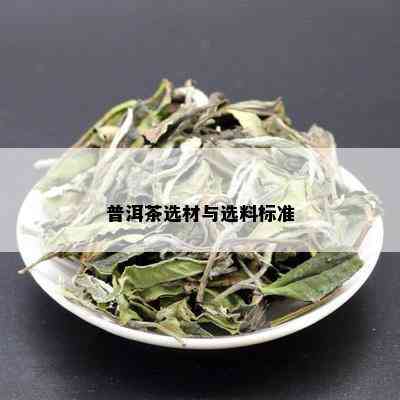 普洱茶选材与选料标准