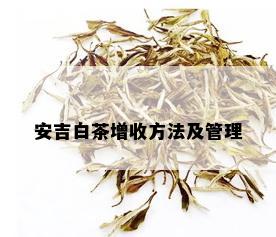 安吉白茶增收方法及管理