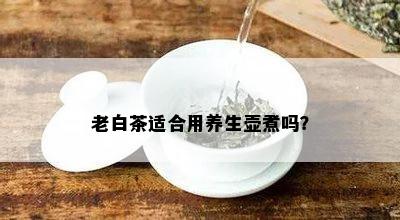 老白茶适合用养生壶煮吗？