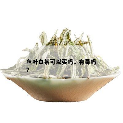 鱼叶白茶可以买吗，有吗？