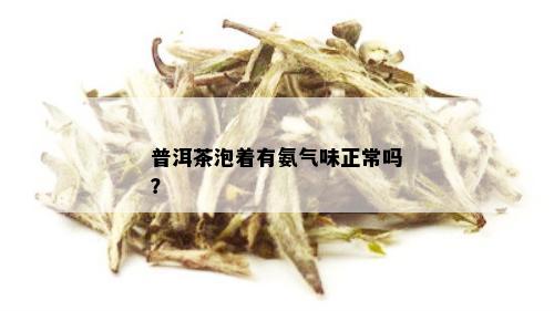 普洱茶泡着有氨气味正常吗？