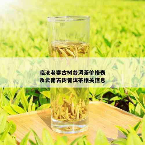 临沧老寨古树普洱茶价格表及云南古树普洱茶相关信息