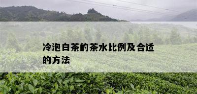 冷泡白茶的茶水比例及合适的方法