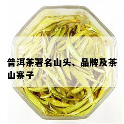 普洱茶著名山头、品牌及茶山寨子