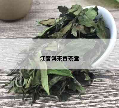 江普洱茶百茶堂