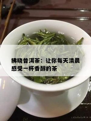 拂晓普洱茶：让你每天清晨感受一杯香醇的茶