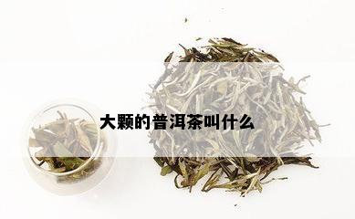 大颗的普洱茶叫什么