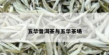 五华普洱茶与五华茶场