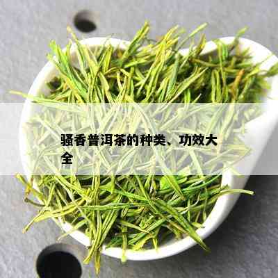 骚香普洱茶的种类、功效大全