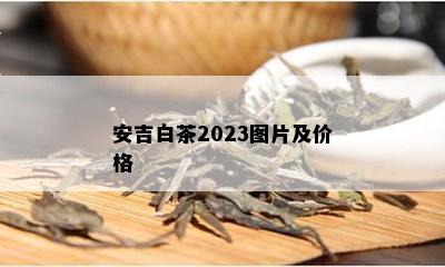 安吉白茶2023图片及价格