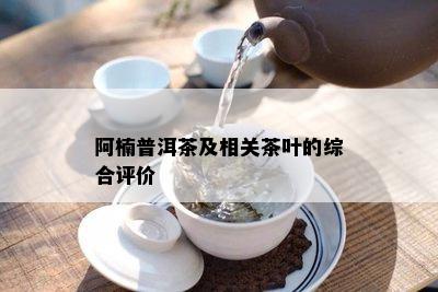 阿楠普洱茶及相关茶叶的综合评价