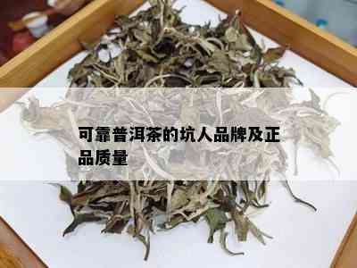 可靠普洱茶的坑人品牌及正品质量