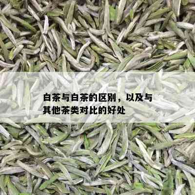 白茶与白茶的区别，以及与其他茶类对比的好处