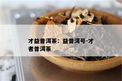 才益普洱茶：益普洱号-才者普洱茶