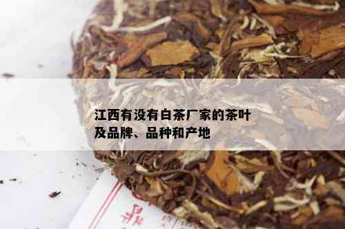 江西有没有白茶厂家的茶叶及品牌、品种和产地