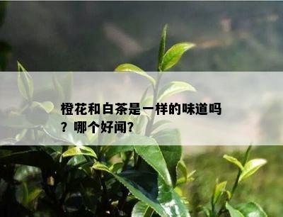 橙花和白茶是一样的味道吗？哪个好闻？