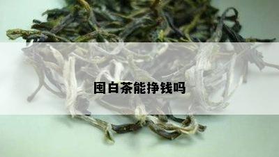 囤白茶能挣钱吗