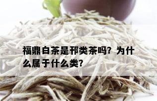 福鼎白茶是邗类茶吗？为什么属于什么类？