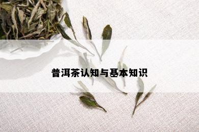 普洱茶认知与基本知识