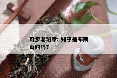 可步老班章: 知乎是布朗山的吗?