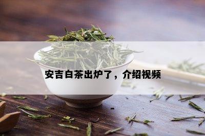 安吉白茶出炉了，介绍视频