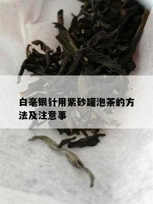 白毫银针用紫砂罐泡茶的方法及注意事