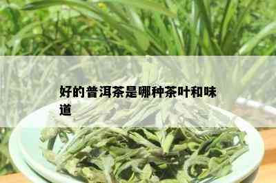 好的普洱茶是哪种茶叶和味道