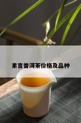 素言普洱茶价格及品种