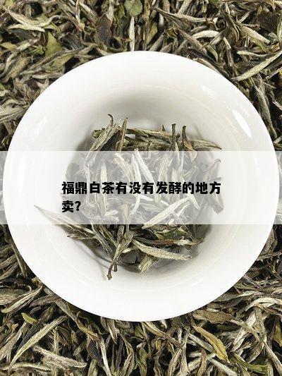 福鼎白茶有没有发酵的地方卖？
