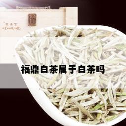 福鼎白茶属于白茶吗