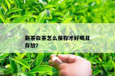 新茶白茶怎么保存才好喝且存放？