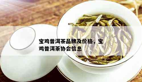 宝鸡普洱茶品牌及价格，宝鸡普洱茶协会信息