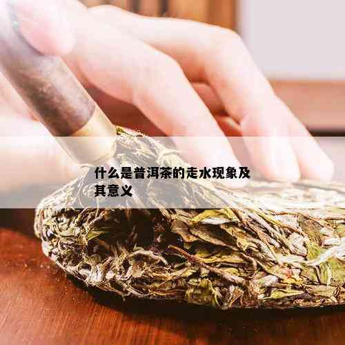 什么是普洱茶的走水现象及其意义