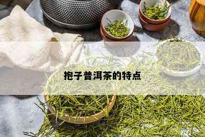 抱子普洱茶的特点