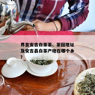 界首安吉白茶茶、茶园地址及安吉县白茶产地在哪个乡？
