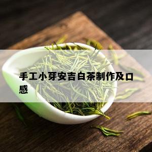 手工小芽安吉白茶制作及口感