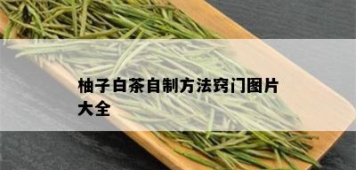 柚子白茶自制方法窍门图片大全