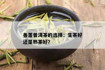 善莲普洱茶的选择：生茶好还是熟茶好？