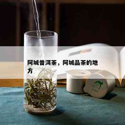 阿城普洱茶，阿城品茶的地方