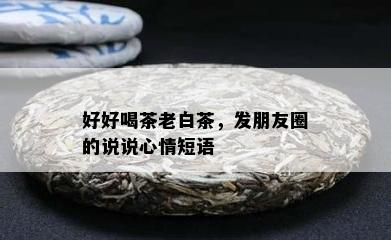 好好喝茶老白茶，发朋友圈的说说心情短语