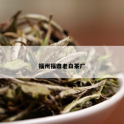福州福鼎老白茶厂