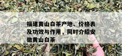 福建黄山白茶产地、价格表及功效与作用，同时介绍安徽黄山白茶