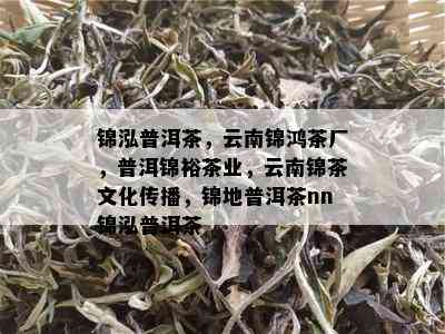 锦泓普洱茶，云南锦鸿茶厂，普洱锦裕茶业，云南锦茶文化传播，锦地普洱茶nn锦泓普洱茶