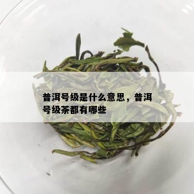 普洱号级是什么意思，普洱号级茶都有哪些