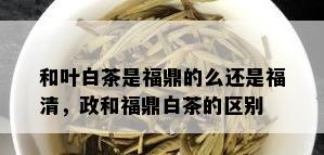 和叶白茶是福鼎的么还是福清，政和福鼎白茶的区别