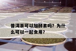 普洱茶可以加酵素吗？为什么可以一起食用？