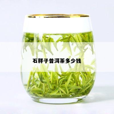 石胖子普洱茶多少钱