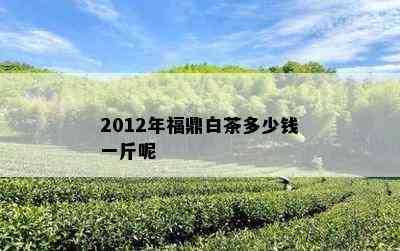 2012年福鼎白茶多少钱一斤呢