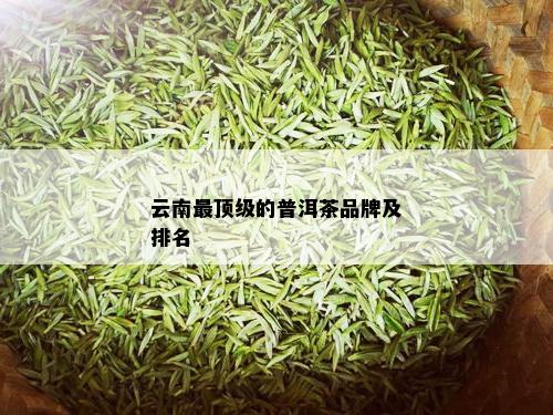 云南最顶级的普洱茶品牌及排名